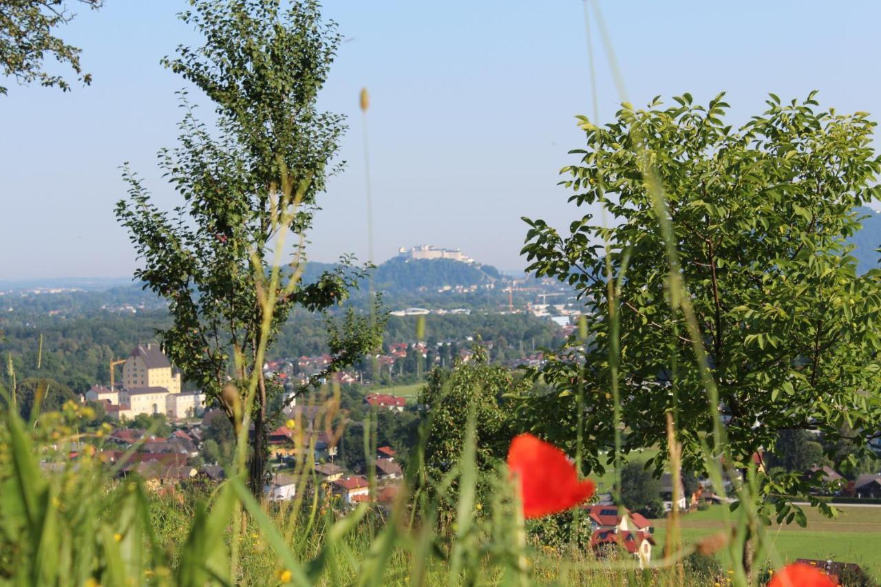 Haus Haslach Elsbethen Bagian luar foto